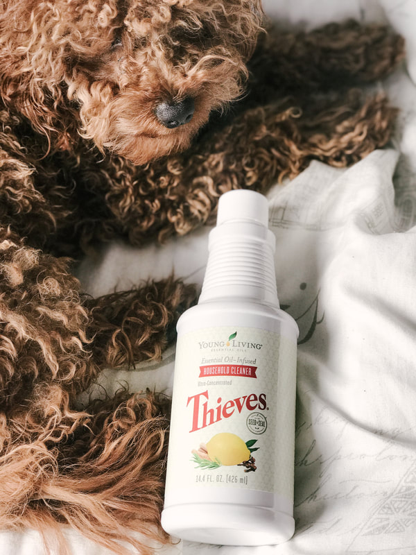 Thieves All Purpose non toxic cleaner, Cleaner safe for humans and furbabes